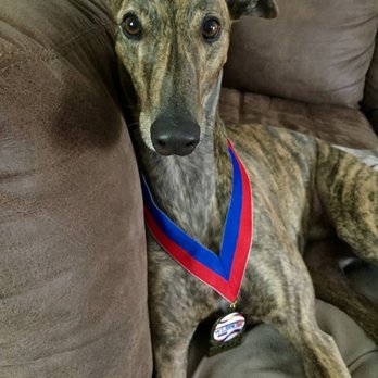 Healthy Spot - Long Beach - I won First Place !!! Thanks to Healthy Spot Grooming at. 5, 6433, E Pacific Coast Hwy Unit A, Long Beach, CA 90803 - Pet Sitting Near Me - Long Beach, California Healthy Spot - Long Beach - I won First Place !!! Thanks to Healthy Spot Grooming at. 5, 6433, E Pacific Coast Hwy Unit A, Long Beach, CA 90803 - Pet Sitting Near Me - Long Beach, California