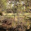 Inn At Brandywine Falls gift card