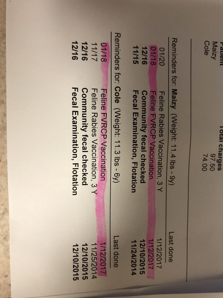 BRANCHVILLE COUNTRY VETERINARY CLINIC Updated September 2024 12