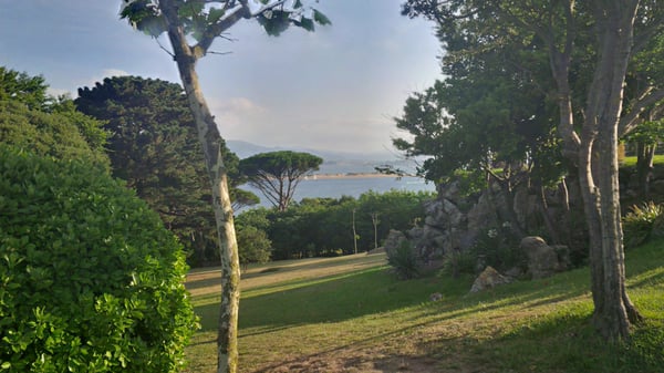 Magdalena Peninsula by null