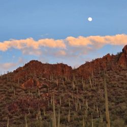 Tucson Mountain Stables