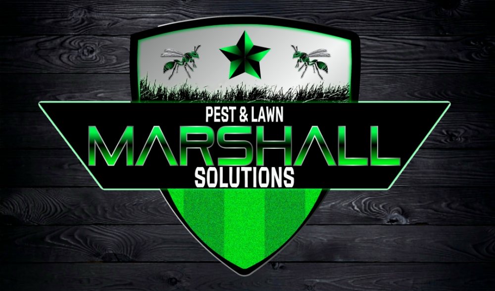 MARSHALL PEST & LAWN SOLUTIONS Updated July 2024 East Providence