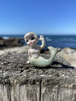 Asilomar State Beach by null