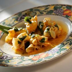 The French Gazebo - Ricotta & Pear in Brown Butter Sage