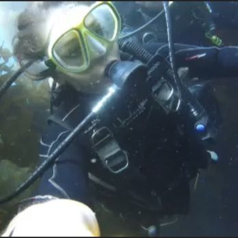Dive Catalina - Diving Near Me - Avalon, California