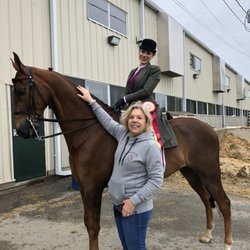 Rocking Horse Farm