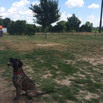 Halifax County Visitor Center Dog Run - Main Yard - Dog Parks Near Me - Roanoke Rapids, North Carolina