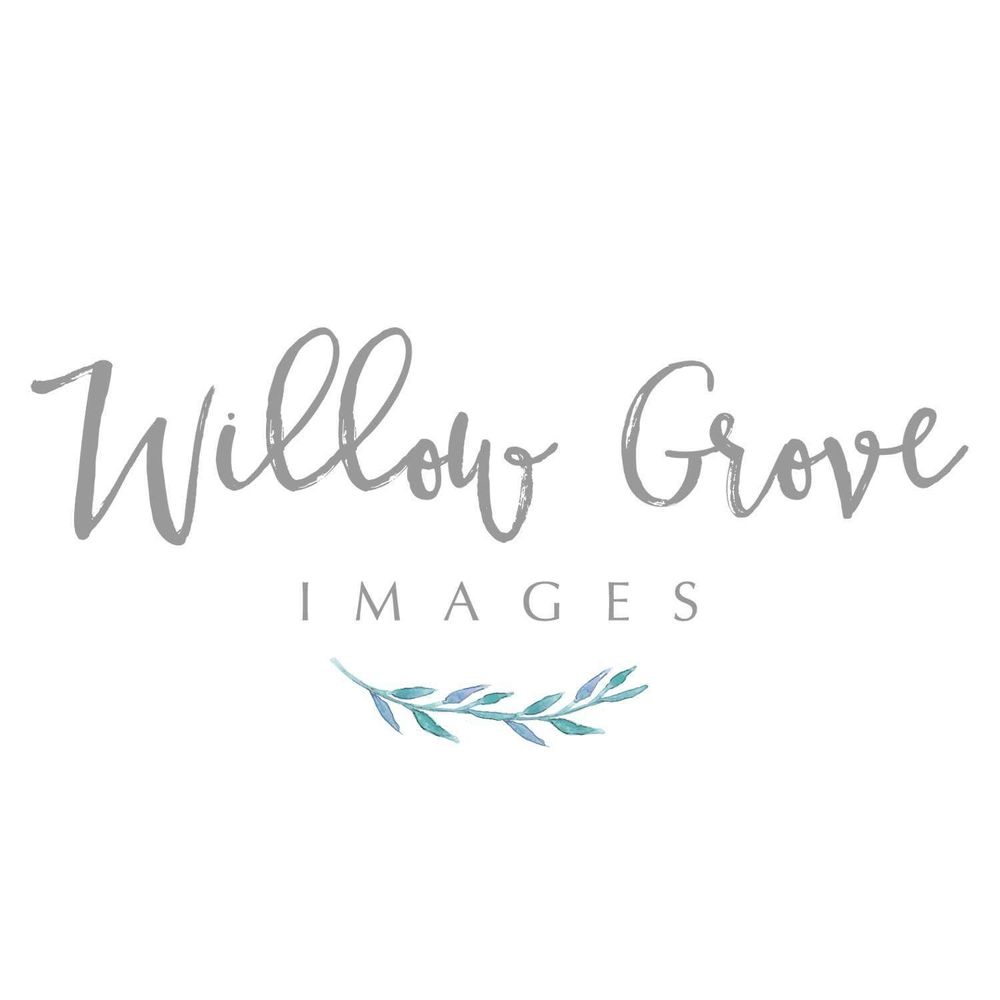 WILLOW GROVE IMAGES Saegertown, Pennsylvania Event Photography