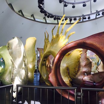 SeaGlass Carousel - Carousels Near Me - New York, New York