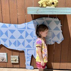 Zoo Atlanta - Lion cutout