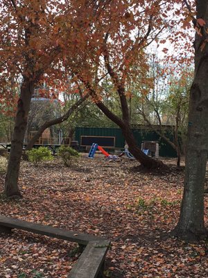 Alley Pond Environmental Center by null