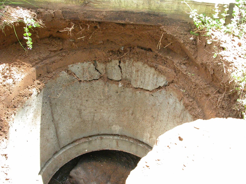 Slide of JW Lafrenier Sons