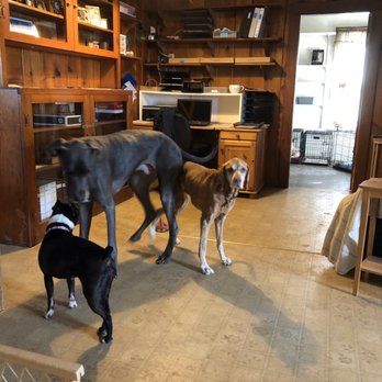 Able Pet Services - Pet Boarding Near Me Able Pet Services - Pet Boarding Near Me