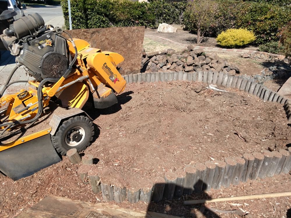 Bay Area Stump Busters - tree service in South San Francisco, CA
