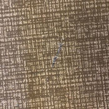 Comfort Suites Suffolk - Chesapeake - Hotels Near Me - Suffolk, Virginia