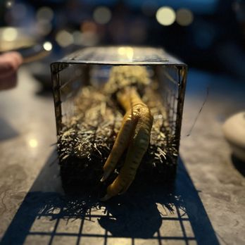 Alchemist - Restaurants Near Me - København