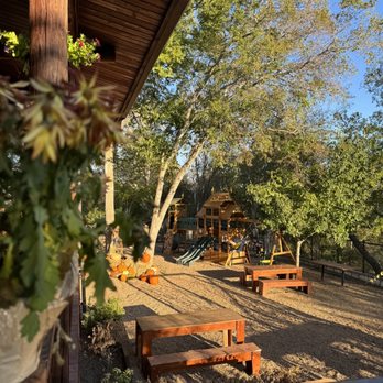 Noli’s Vite - Patio - Italian Near Me - Cibolo, Texas