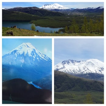 Science Learning Center - Before and after picture. - Hiking Near Me - Toutle, Washington