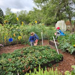 Wildflower Preschool - Our beautiful garden.