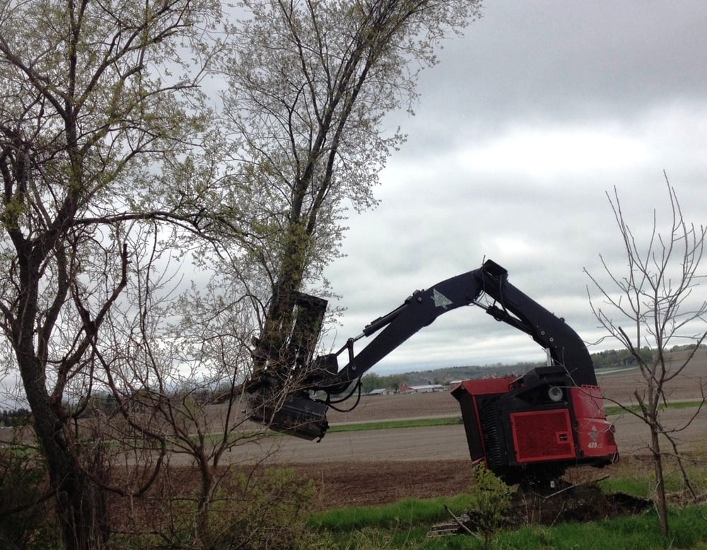 INTERSTATE TREE LAND CLEARING - W336S1596 Wolf Rd, Dousman, Wisconsin ...