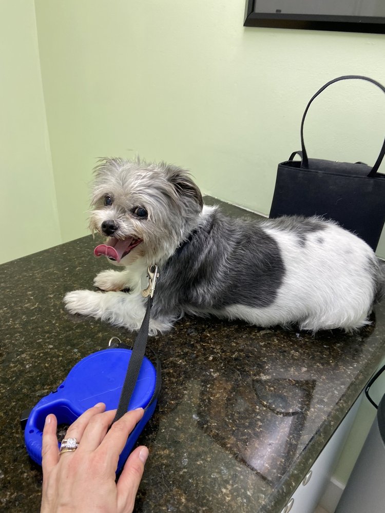 KENDALL DRIVE ANIMAL HOSPITAL Updated August 2024 16 Photos & 54