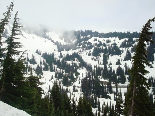 Mount Rainier by null
