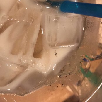 La Penca Azul - Horchata - Mexican Near Me - Alameda, California La Penca Azul - Horchata - Mexican Near Me - Alameda, California