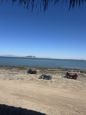 Cholla Bay Oyster House by null