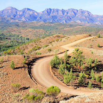 Wallaby Tracks Adventure Tours - Razorback Lookout, Flinders Ranges. - Travel Services Near Me - Quorn, SA Wallaby Tracks Adventure Tours - Razorback Lookout, Flinders Ranges. - Travel Services Near Me - Quorn, SA