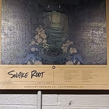 Oddstory Brewing - Love their artwork - Beer Bar Near Me - Chattanooga, Tennessee