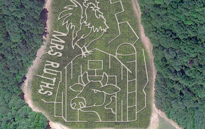 Mrs Ruth's Farms & Corn Maze Logo