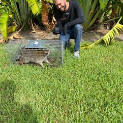 SureShot Pest Solutions