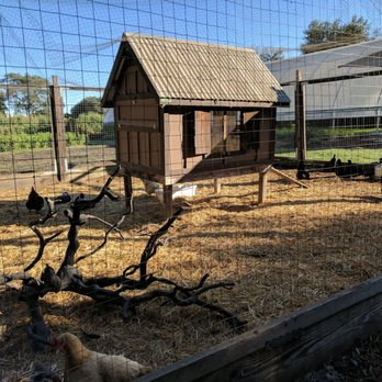 TFL Garden - Eggs source - Farms Near Me - Yountville, California