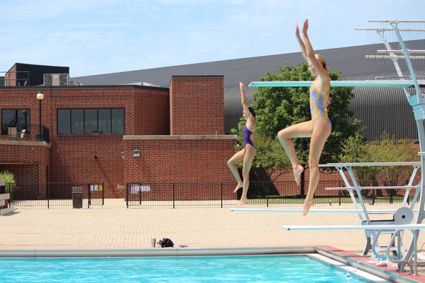 Five Seasons by null