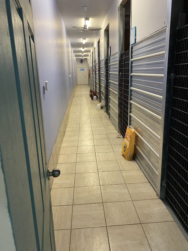 FRIENDLY KENNELS & GROOMING Updated August 2024 Request an