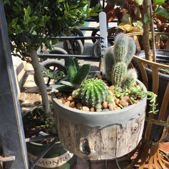 Plants A Plenty - Nurseries & Gardening Near Me - Enid, Oklahoma