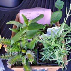 Clermont County Soil & Water District - Annual plant &tree sale