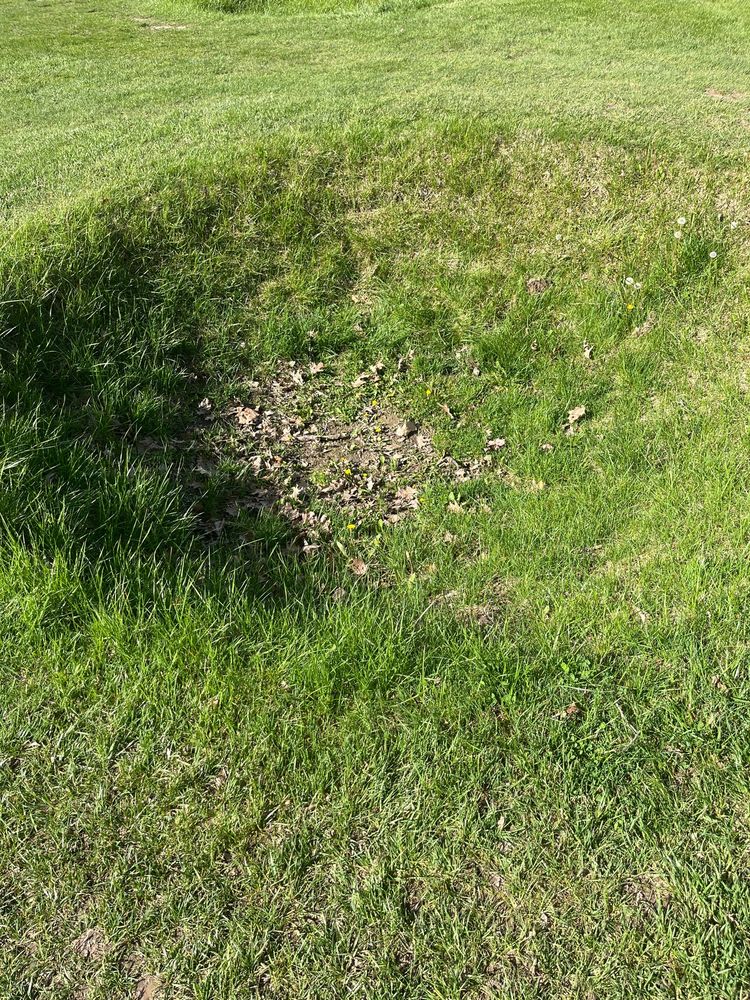 Social spots from Walnut Creek Golf Courses