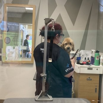 Petco - Pet Stores Near Me - Lynnwood, Washington