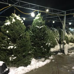 Ace Peel Hardware & Supply - Every year we bring in Premium quality trees from Kriss Kringle at competitive prices. A little bit more goes a long way.
