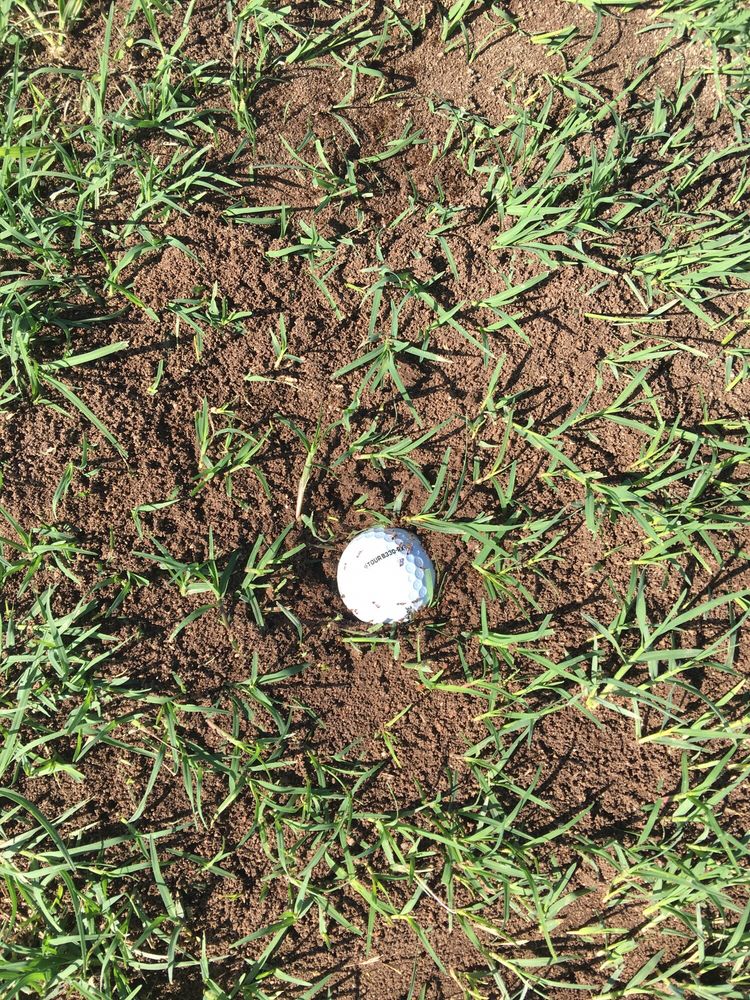 WILLOW CREEK GOLF CENTER Updated September 2024 1166 Ben Richey Dr