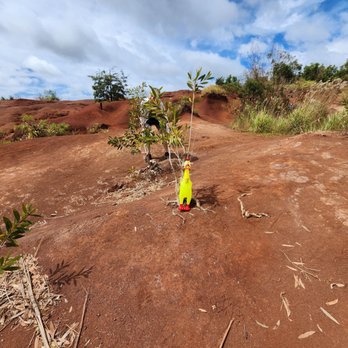 Red Dirt Waterfall - Rubber chicken - Landmarks & Historical Buildings Near Me