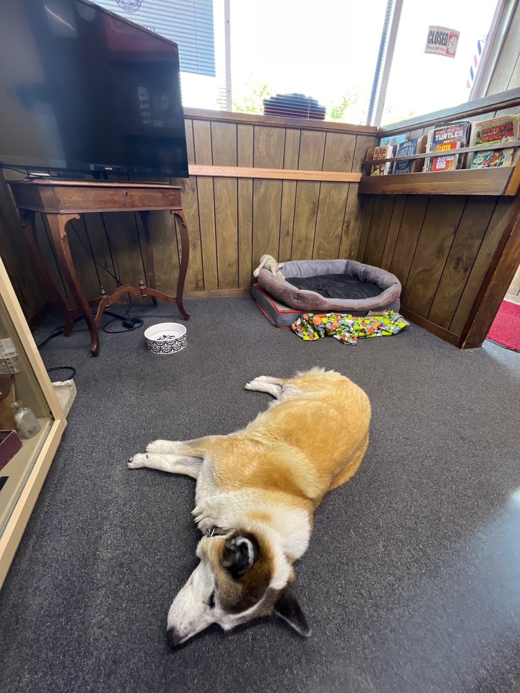 CLOCKWORK Updated October 2024 11 Photos & 11 Reviews