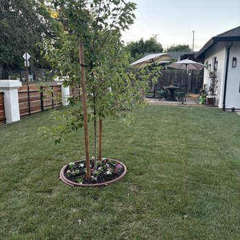 Lawnman Landscape - Landscaping Near Me - Sacramento, California Lawnman Landscape - Landscaping Near Me - Sacramento, California
