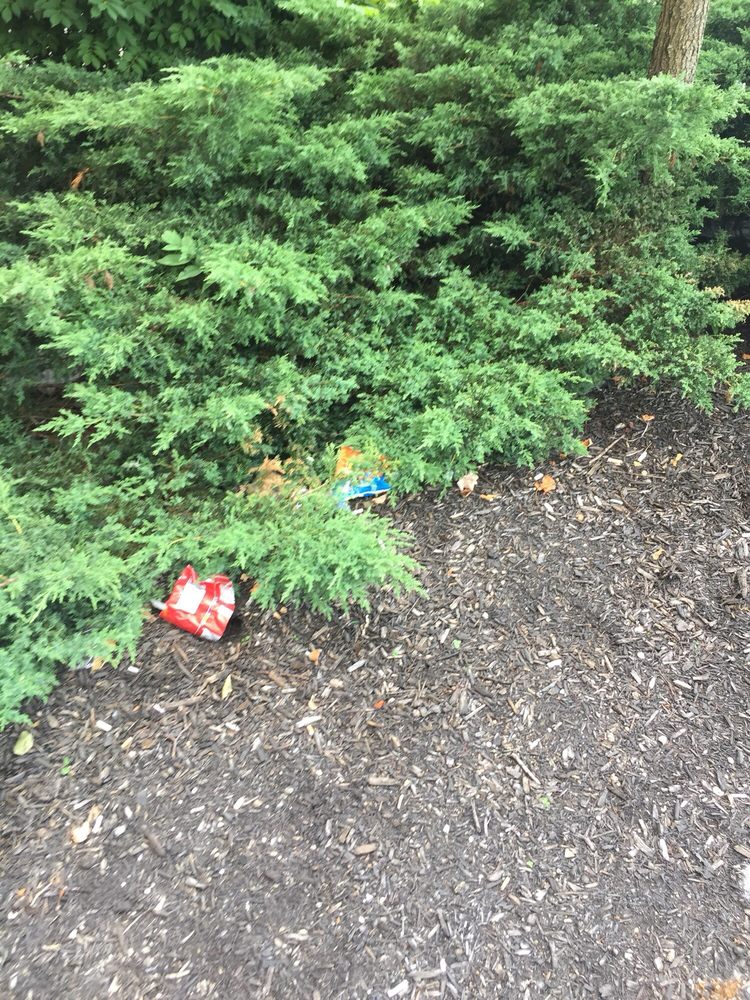 KOHL’S 11 Reviews 1600 N Bechtle Ave, Springfield, Ohio Department Stores Phone Number