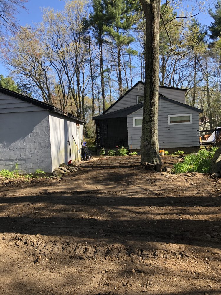 Slide of A Bee Septic