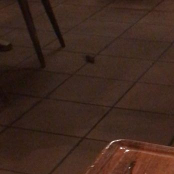 Restaurant Le Mazot - rat running around the restaurant while we were dining. gross. - German Near Me - Bern, BE Restaurant Le Mazot - rat running around the restaurant while we were dining. gross. - German Near Me - Bern, BE