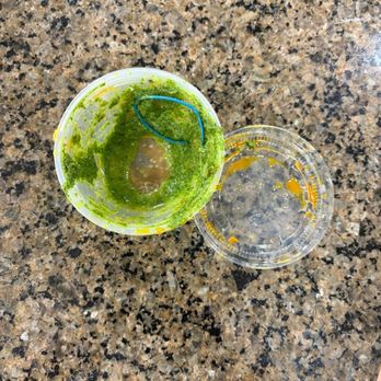 Chaat Bhavan - Rubber band in the chutney container. - Indian Near Me - Fremont, California Chaat Bhavan - Rubber band in the chutney container. - Indian Near Me - Fremont, California