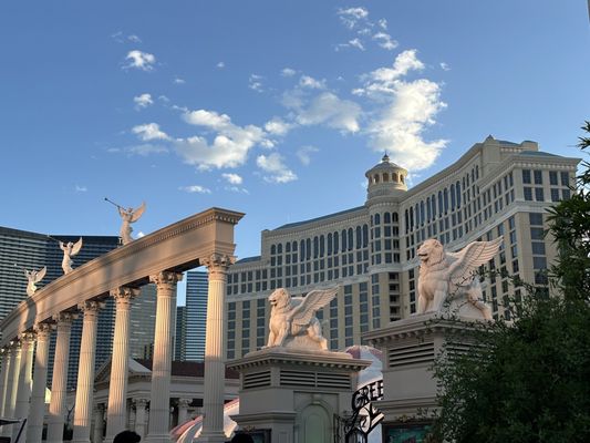 Bellagio Hotel & Casino by null