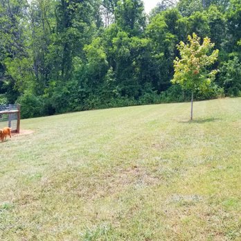 I.C. King Dog Park - More grass - Dog Parks Near Me - Knoxville, Tennessee I.C. King Dog Park - More grass - Dog Parks Near Me - Knoxville, Tennessee